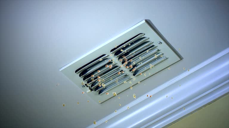 Trusted East Rancho Dominguez, CA Airduct Cleaning Experts