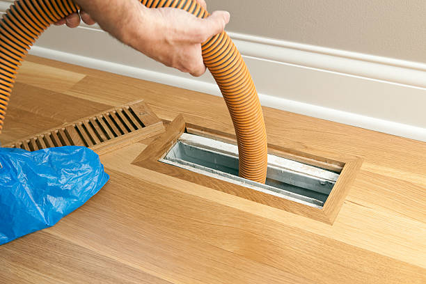 Air Duct Mold Removal in East Rancho Dominguez, CA